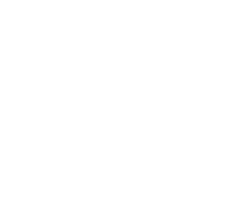 Saudi Cup